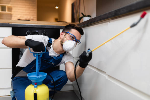 Best Cockroach Control Services  in Lynn Haven, FL