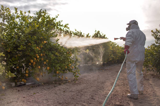 Best Insect Control  in Lynn Haven, FL