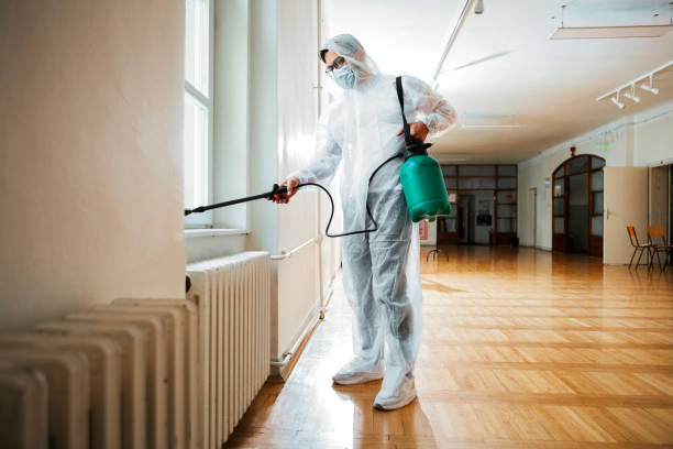 Insect Control in Lynn Haven, FL