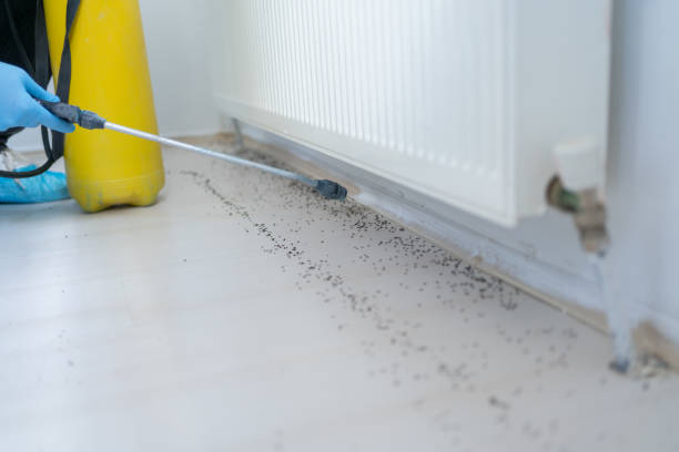 Best Pest Prevention Services  in Lynn Haven, FL